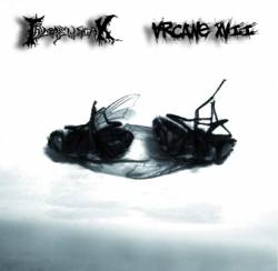 The Dead Musician : The Dead Musician - Arcane XVII